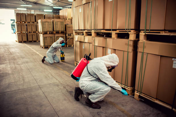Best Flea Control Services  in Williamsburg, FL