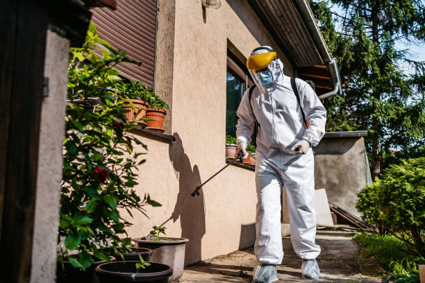 Best Cockroach Control Services  in Williamsburg, FL