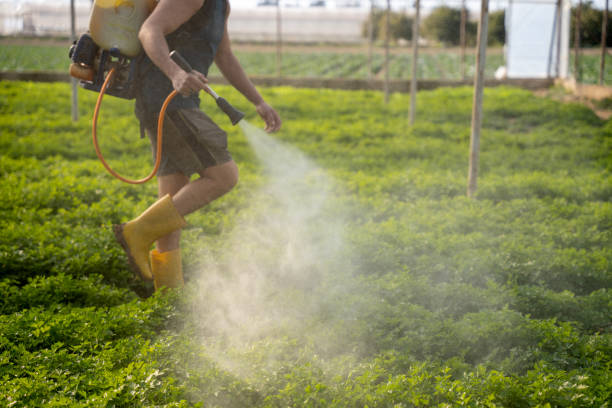 Best Best Pest Control Companies  in Williamsburg, FL