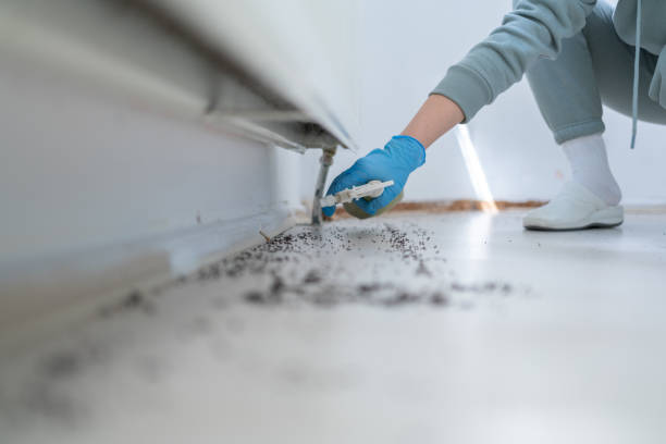 Best Insect Control  in Williamsburg, FL